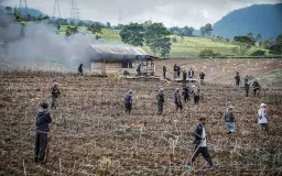 Ratusan Hektare Kebun Teh Malabar Hilang: Benarkah Karena HGU Habis dan Lemahnya Pengawasan?