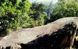Batu Kuda Manglayang, Ruang Tenang di Tengah Hutan Pinus