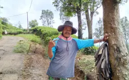Dari Ciwidey Menembus India; Menaman dan Menjaga Kualitas Kopi Robusta 