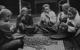 Hikayat Jejak Kopi Jawa di Balik Bahasa Pemrograman Java