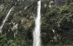 Alam sebagai Ruang Pemulihan