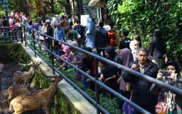 Bandung Merayakan, Warganya Bertahan