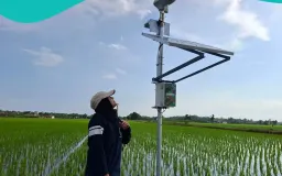 Menanam Masa Depan, Mustika Arsri dan Revolusi Teknologi di Ladang Petani Muda