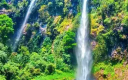 Di Balik Deru Air dan Hening Hutan, Menyusuri Keanggunan Curug Cileat 