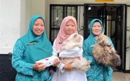 Gaya Hidup Cat Parents Bandung yang Memulai Perlindungan dari Rumah