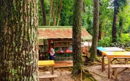 UMKM Tahura Bandung Tumbuh Bersama di Tengah Perubahan Kawasan Wisata 