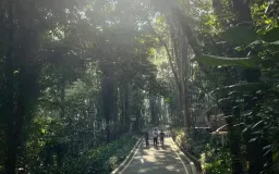 Bukan Lagi Kafe, tapi Hutan: Gen Z Bandung Temukan Ketenangan di Tahura Djuanda