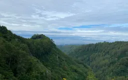 Viral di Sosmed tapi Tak Sesuai Ekspektasi? Fakta di Balik Pesona Tebing Keraton Bandung