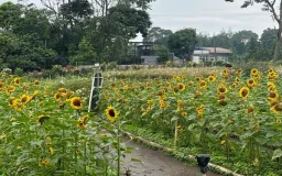 Destinasi Baru Bertema Rustic Modern di Tengah Sejuknya Bandung Barat