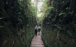 Lorong Lumut Jayagiri, Jejak Belanda 1936 yang Kini Jadi Surga Tersembunyi Lembang
