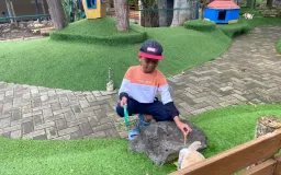 Perluasan Area Petting Zoo Farmhouse Lembang: Pengalaman Belajar yang Menarik dan Seru
