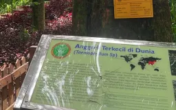 Tahura Djuanda Hadirkan Wisata Edukasi Bernilai Konservasi: Batu Batik dan Flora Langka Jadi Daya Tarik Baru