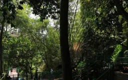 Problem Deforestasi Mikro Kota Bandung