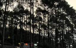Gunung Puntang, Surga Sejuk di Bandung Selatan yang Sarat Cerita