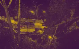 Kecelakaan Bus di Wado Sumedang 2021, Tragedi Study Tour yang Renggut 29 Korban