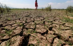 Mitigasi El Nino Godzilla untuk Ketenagakerjaan