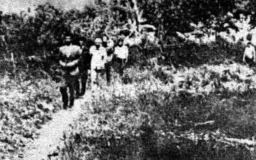 Sejarah Peristiwa Cimareme 1919, Perlawanan Petani Garut yang Dipicu Krisis Pangan