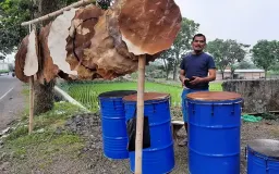 Ngadulag Euy!