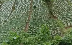 Bandung Selatan di Ujung Krisis: Ketika Kawasan Konservasi Dijadikan Ladang Bisnis