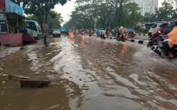 Resolusi Bandung 2026 dan Kerendahan Hati Ekologis