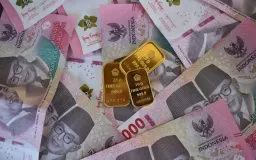 Fiskal Menyempit, Demokrasi Terancam: Analisis Manajemen Risiko Pendidikan Politik di Daerah