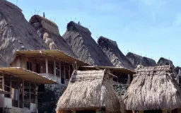Dana Indonesiana Tertunda, Pelestari Budaya Ngada Alami Tekanan Mental