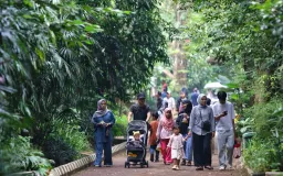 Bukan Sekadar RTH, Bandung Heritage Minta Pemkot Pertahankan Kebun Binatang Bandung sebagai Warisan Sejarah dan Ekologi Kota
