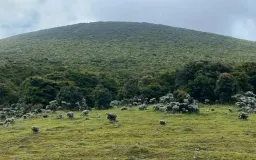 Menilik Awal Pendakian Gunung Gede