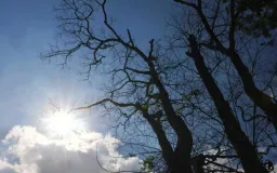 Inisiatif Bandung Melawan Panas dengan Teknologi Kabut Air