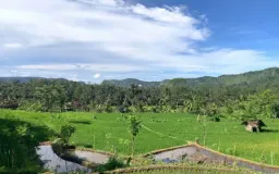 Dulu Pakai Ritual, Kini Pakai Kimia: Perubahan Praktik Bertani di Desa Pamoyanan