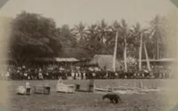 Rampog Macan: Tradisi, Kontrovesi, dan Akhir Sebuah Permainan Tradisional