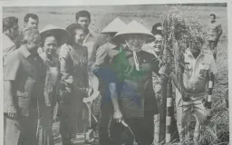 Obsesi Nasi: Hilangnya Diversitas Pangan Pokok Indonesia & Lingkaran Setan Food Estate   