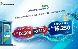 Kenaikan Harga BBM, Peningkatan Biaya Operasional Kendaraan, dan Peluang Perpindahan Moda Transportasi