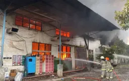 Ketaatan Pengelolaan Risiko Kebakaran 