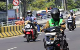 Hayu Mudik?