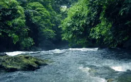 Hutan dalam Toponim, Indah, Damai, dan Menyejahterakan