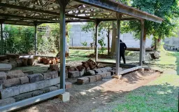 Terlalu Dekat untuk Dikenal: Mengapa Situs Candi Bojong Menje perlu Diceritakan Kembali?