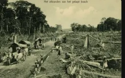 Kebakaran Hutan di Masa Hindia Belanda