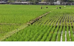 Mengapa Hari Tani dan Reforma Agraria Penting bagi Warga Bandung?