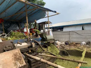 Pengolahan sampah organik di di TPS Gedebage menjadi kompos. (Sumber: ayobandung.id | Foto: Halwa Raudhatul)