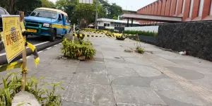 Lokasi pohon-pohon yang diduga ditebang tanpa izin pemerintah. (Sumber: Ayobandung.id | Foto: Gilang Fathu Romadhan)