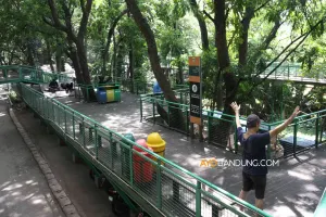 Pengunjung berjalan di Forest Walk Babakan Siliwangi, Kota Bandung, Selasa 16 Januari 2024. (Sumber: Ayobandung.com | Foto: Irfan Al-Faritsi)