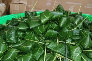 Peuyeum Ciruluk khas Kalijati, Kabupaten Subang, memiliki ciri khas dibungkus menggunakan daun muncang (daun kemiri), sehingga tampil alami sekaligus membantu menjaga cita rasa dan kualitas produknya. (Foto: Kin Sanubary)