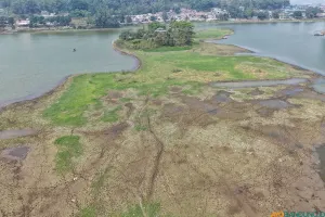 Fenomena tahunan menyusutnya air Situ Ciburuy kian terasa di musim kemarau ini, berdampak langsung pada sektor pertanian, pariwisata lokal, hingga aktivitas warga. (Sumber: ayobandung.id | Foto: Irfan Al Faritsi)