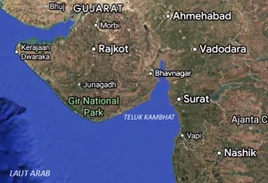 Muara Sungai Mahi di Teluk Kambhat, Laut Arab. (Sumber: Istimewa)