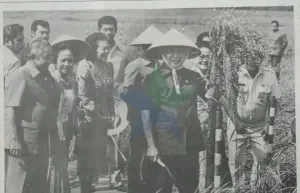 Presiden Soeharto panen padi perdana di Desa Jatimulya, Kec. Pusakanegara, Kabupaten Subang, Jawa Barat (8/7/1987). (Sumber: Perpusnas | Foto: Perpusnas)