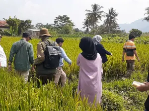 Ilustrasi para petani muda dan calon pelaku usaha pertanian sedang menyusuri pematang sawah di pedesaan Kabupaten Garut. (Sumber: dokpri | Foto: Totok Siswantara)