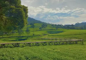 Nuansa Riung Gunung Pangalengan, Wisata Bandung Murah. (Sumber: Instagram | Foto: nuansariunggunung_)