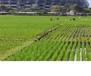 Hamparan sampah di kota Bandung dan petani yang sedang beraktivitas (Sumber: Ayobandung.com)