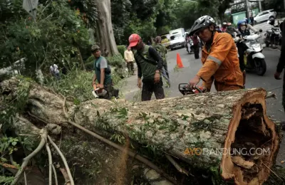 Aktivita penebangan pohon di Kota Bandung. (Sumber: ayobandung.com | Foto: Ayo Bandung)